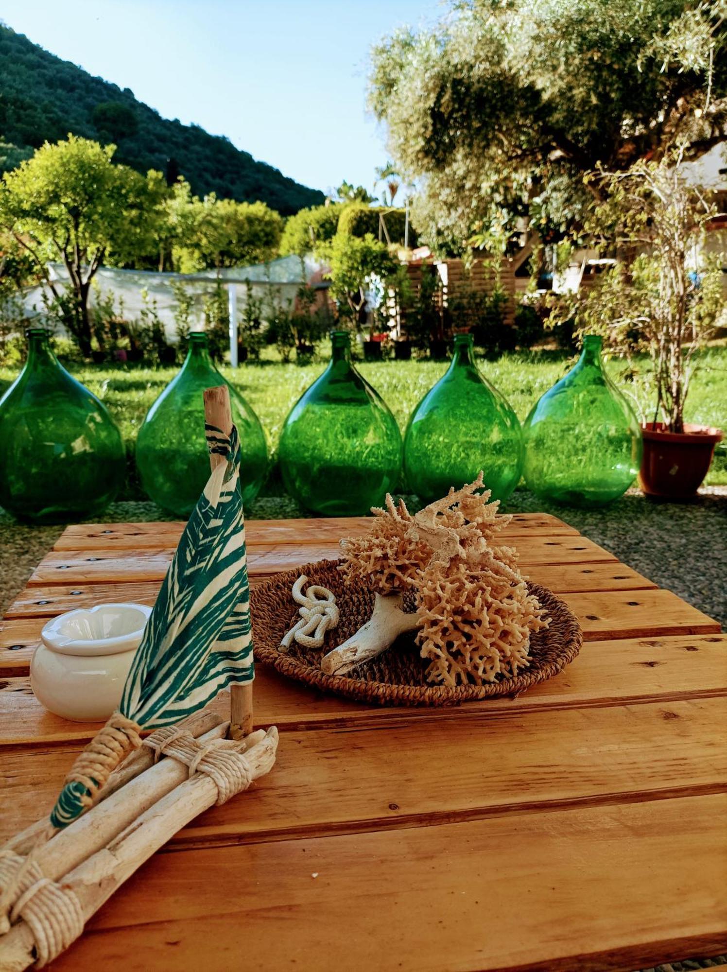 Bed and Breakfast Laris Castellabate Exterior foto